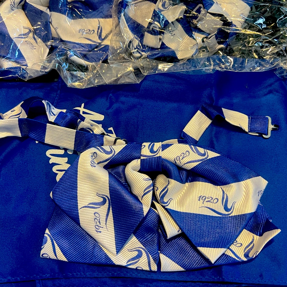Zeta Phi Beta Sorority Blue and White Dove
Striped Bow Tie
